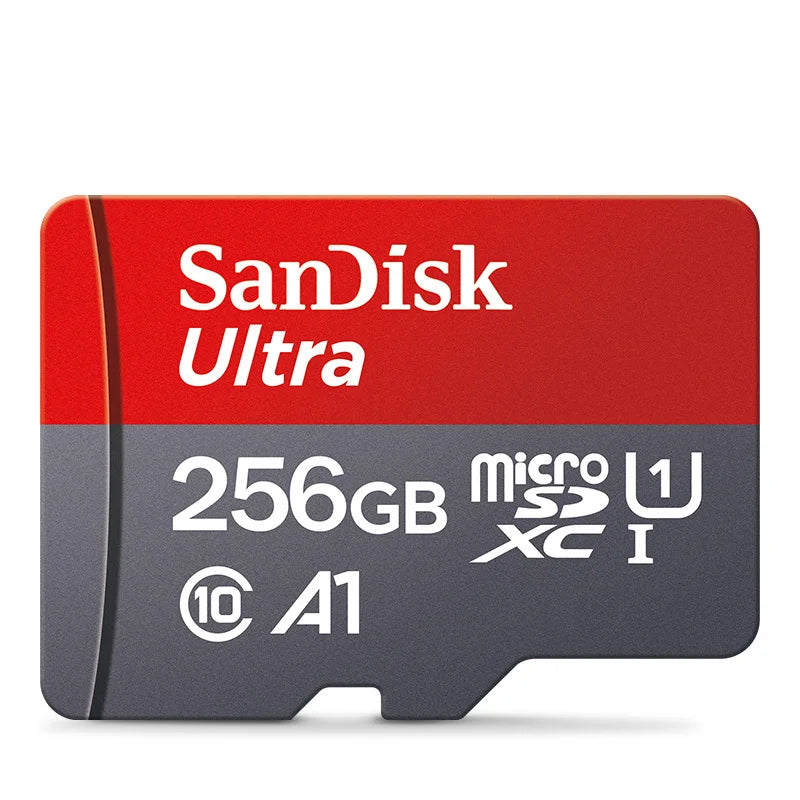 256GB SD Card